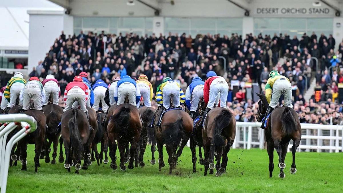 Horse racing at Cheltenham